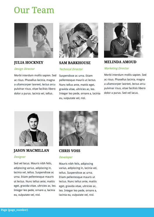 Wordpress Development Proposal Template